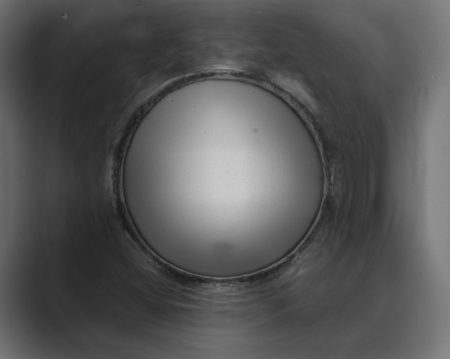 X0000088921404200706291519