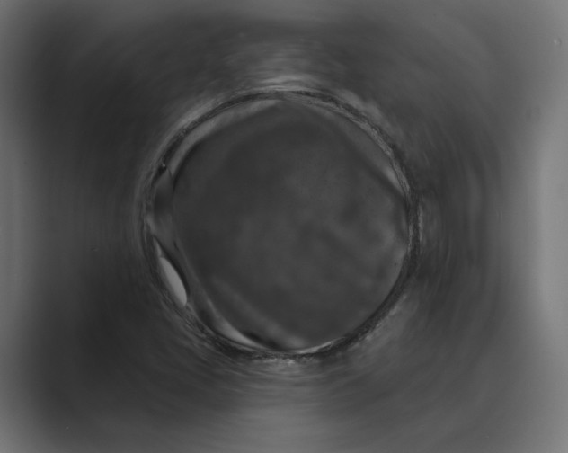 X0000088921405200706291519