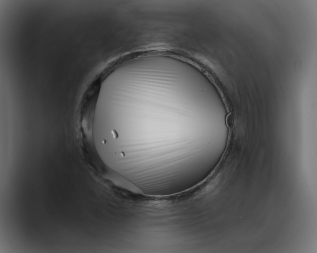 X0000088921406200706291519