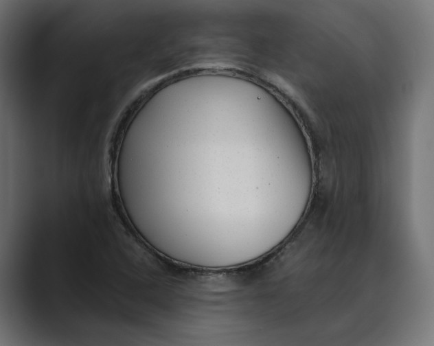 X0000088921408200706291519