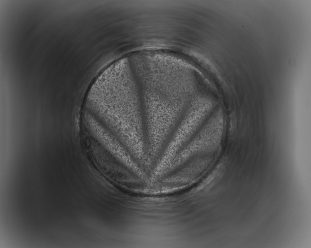 X0000088921409200706291519