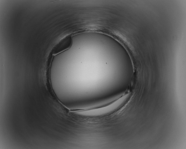 X0000088921410200706291519