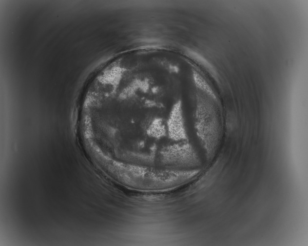 X0000088921411200706291519