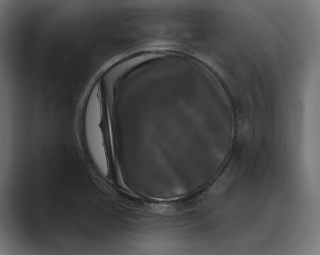 X0000088921413200706291519