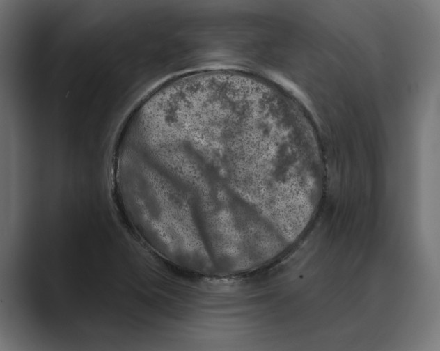 X0000088921415200706291519