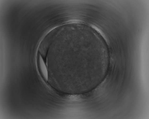 X0000088921418200706291519