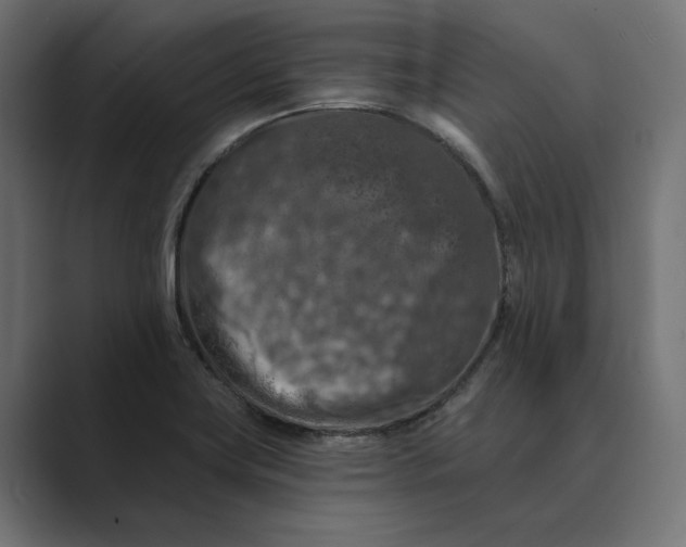 X0000088921419200706291519