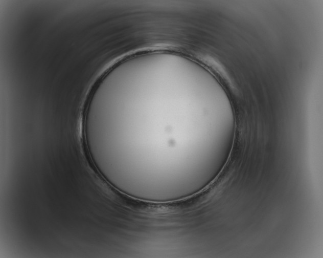 X0000088921420200706291519