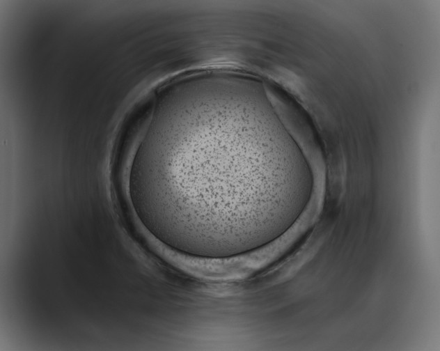 X0000088921422200706291519