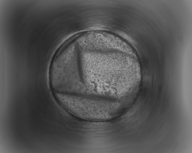 X0000088921423200706291519