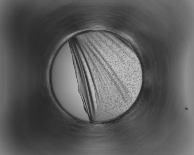 X0000088921424200706291519