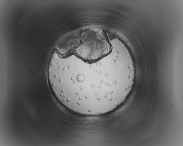 X0000088921425200706291519