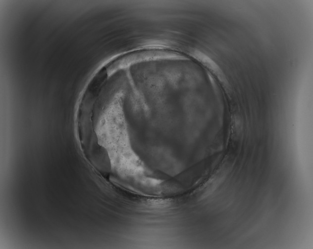 X0000088921427200706291519
