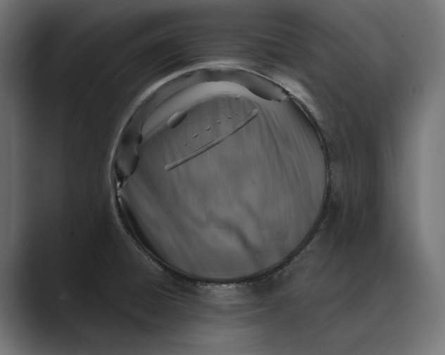 X0000088921428200706291519