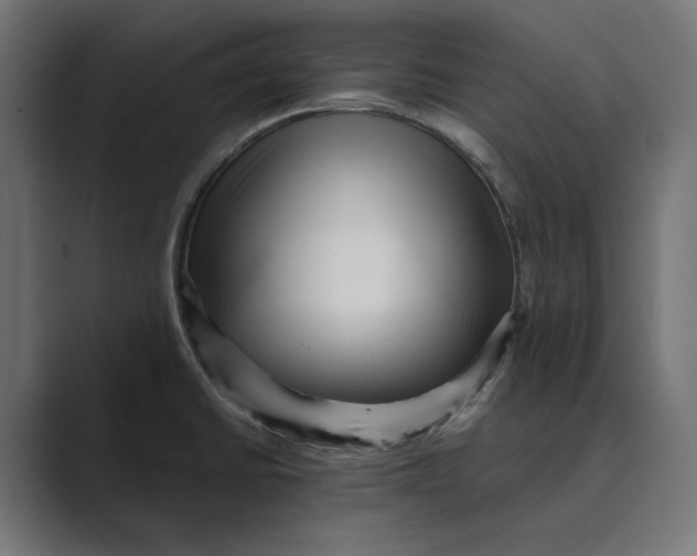 X0000088921430200706291519