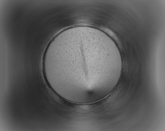 X0000088921431200706291519