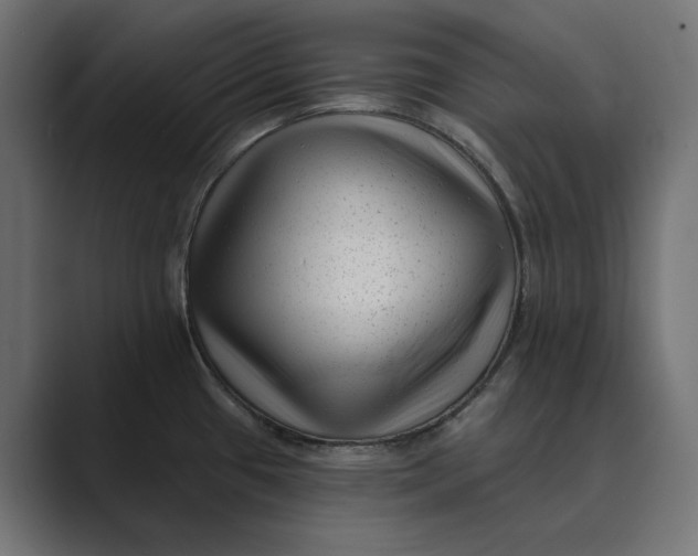 X0000088921433200706291519
