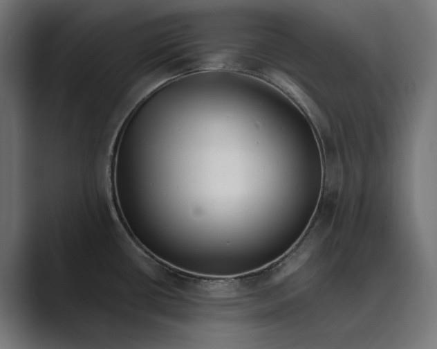 X0000088921434200706291519