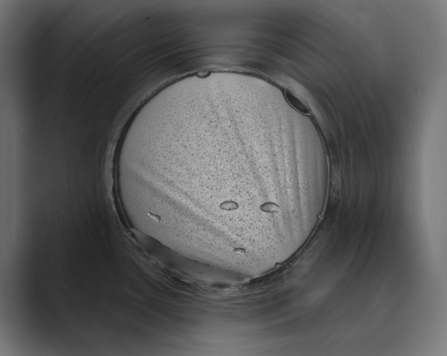 X0000088921435200706291519