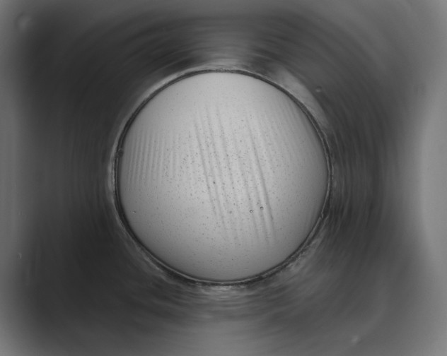 X0000088921436200706291519