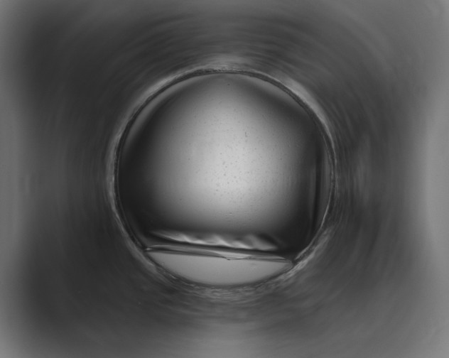 X0000088921437200706291519