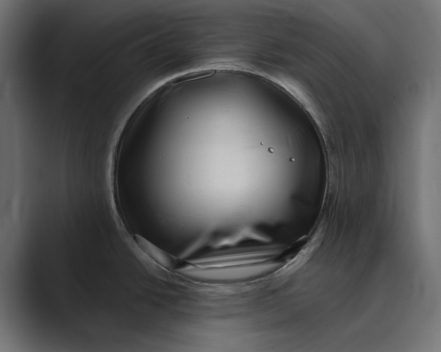 X0000088921438200706291519