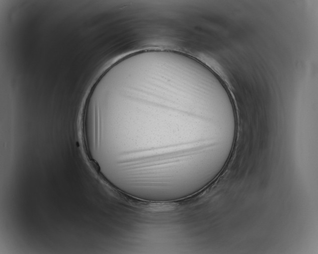 X0000088921440200706291519