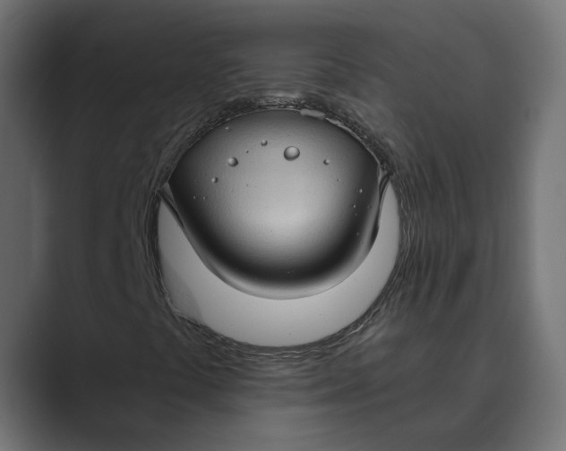 X0000088921441200706291519