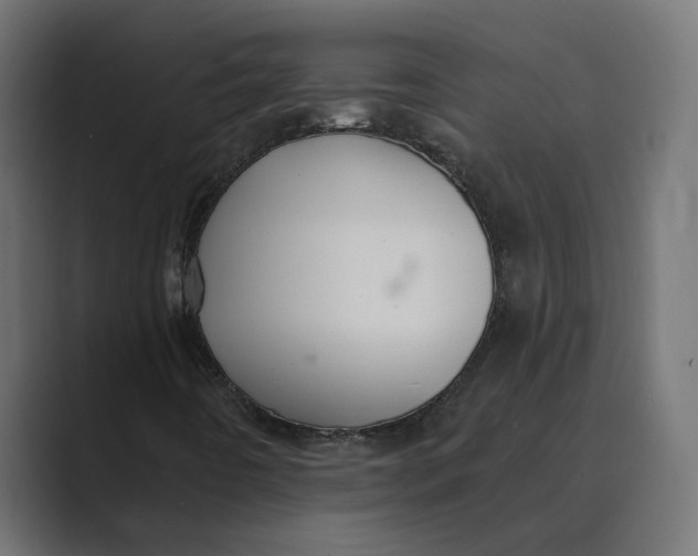 X0000088921442200706291519