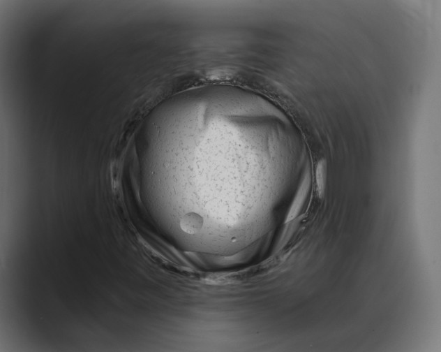X0000088921443200706291519