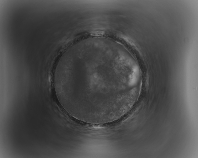 X0000088921445200706291519