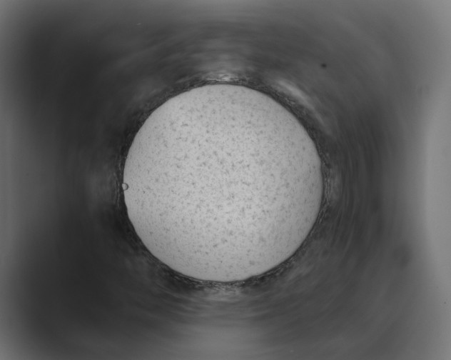 X0000088921446200706291519