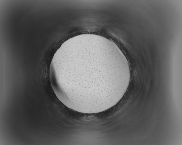 X0000088921447200706291519