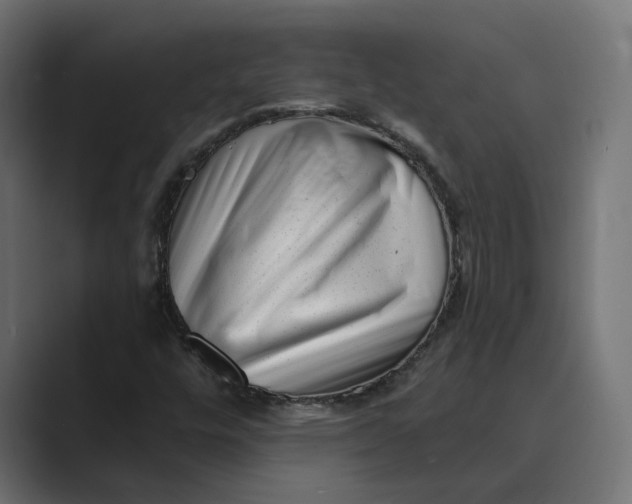 X0000088921448200706291519