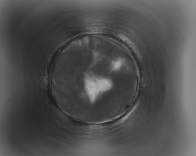 X0000088921449200706291519