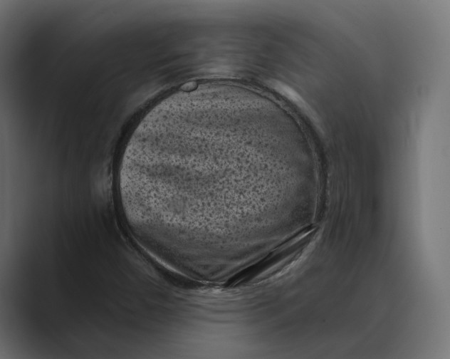 X0000088921450200706291518