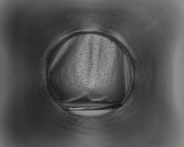 X0000088921456200706291518