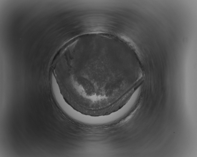 X0000088921457200706291518