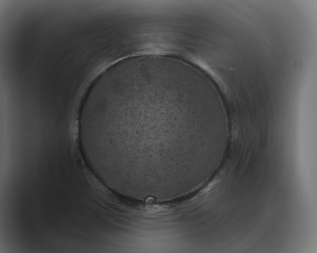 X0000088921459200706291518