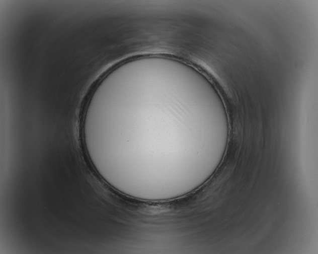 X0000088921460200706291518