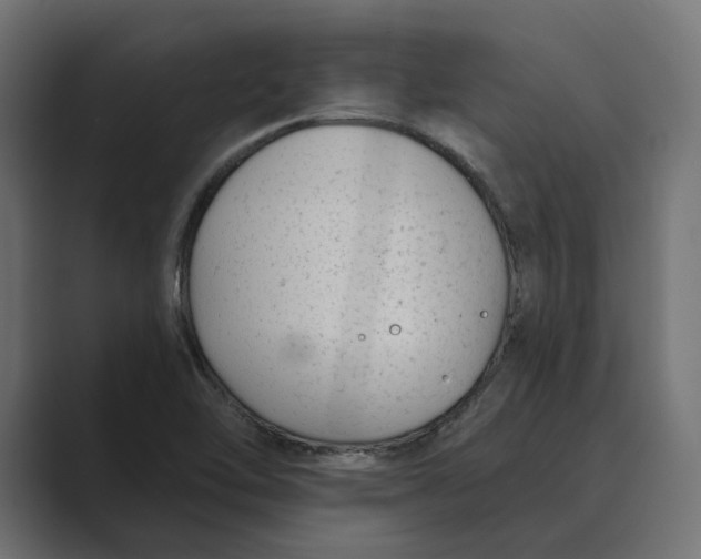 X0000088921462200706291518