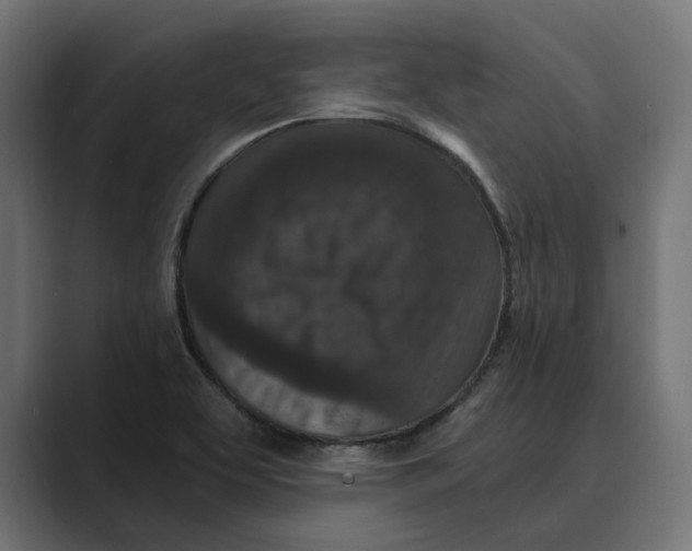 X0000088921463200706291518