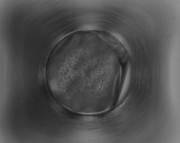 X0000088921465200706291518