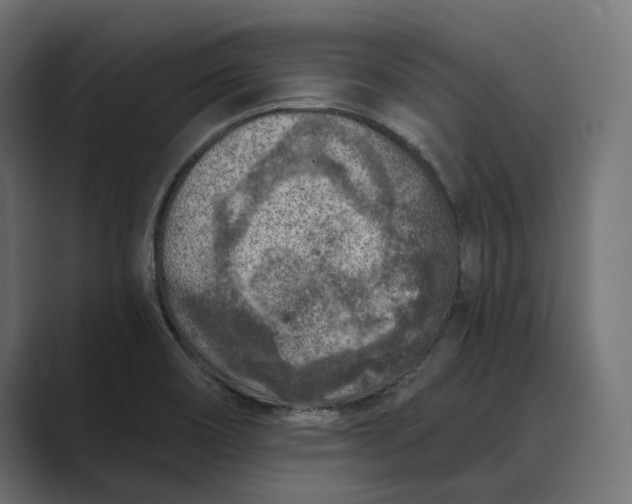 X0000088921466200706291518