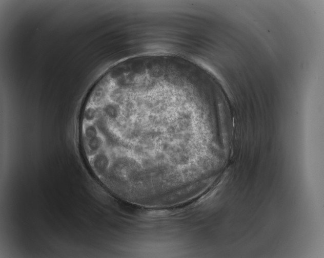 X0000088921467200706291518