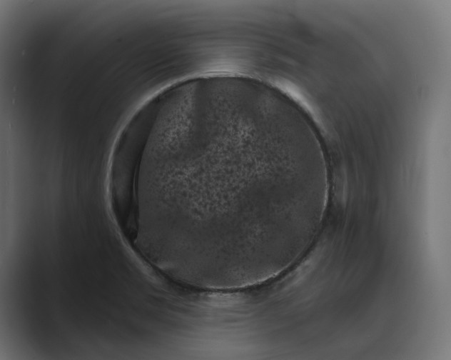X0000088921469200706291518