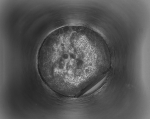 X0000088921471200706291518