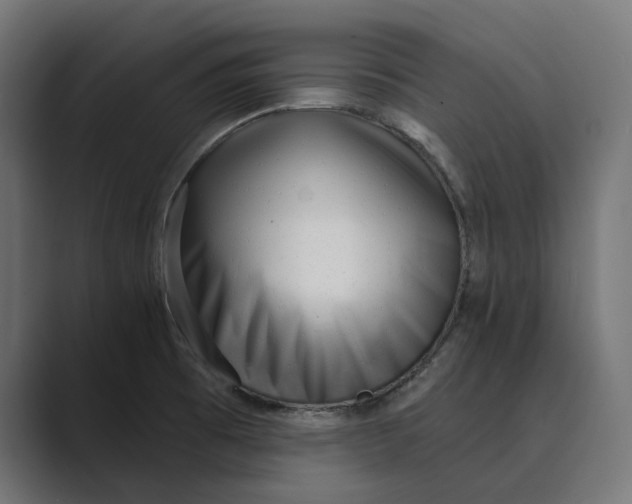 X0000088921473200706291518