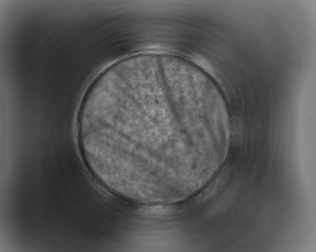 X0000088921474200706291518