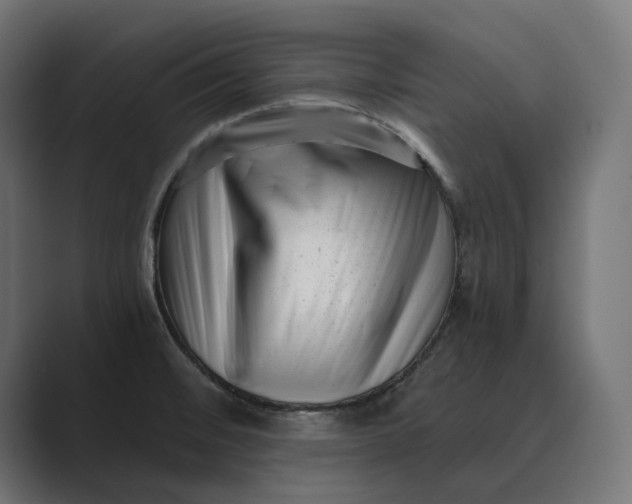 X0000088921476200706291518